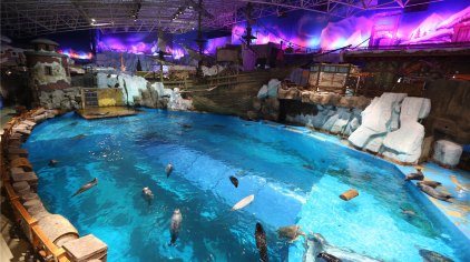 青岛海景花园大酒店春节,青岛市南区海景花园大酒店