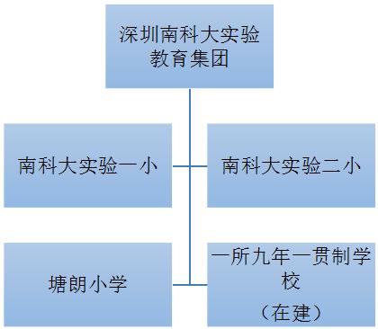 深圳十大民办教育集团排名,深圳十大教育机构排名前十