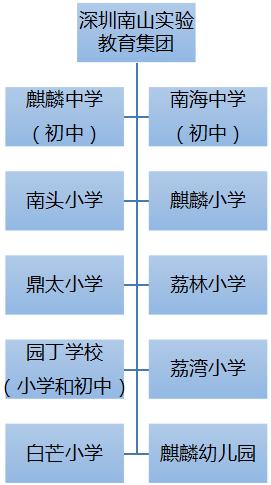 深圳十大民办教育集团排名,深圳十大教育机构排名前十