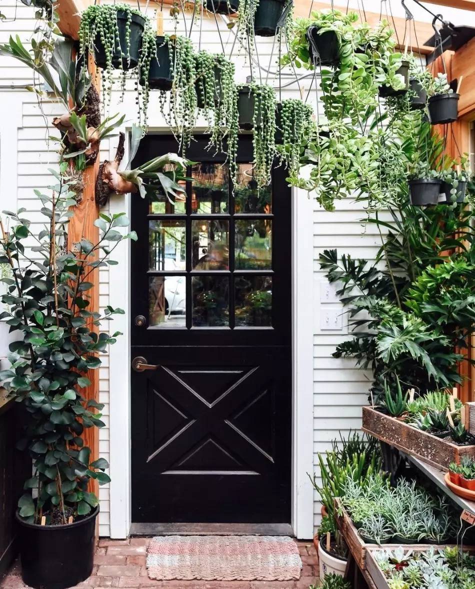 卖的最好的植物店,植物店能买到哪些植物