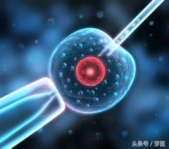 试管婴儿从开始到怀孕要多少天,试管婴儿出生后有后悔的吗