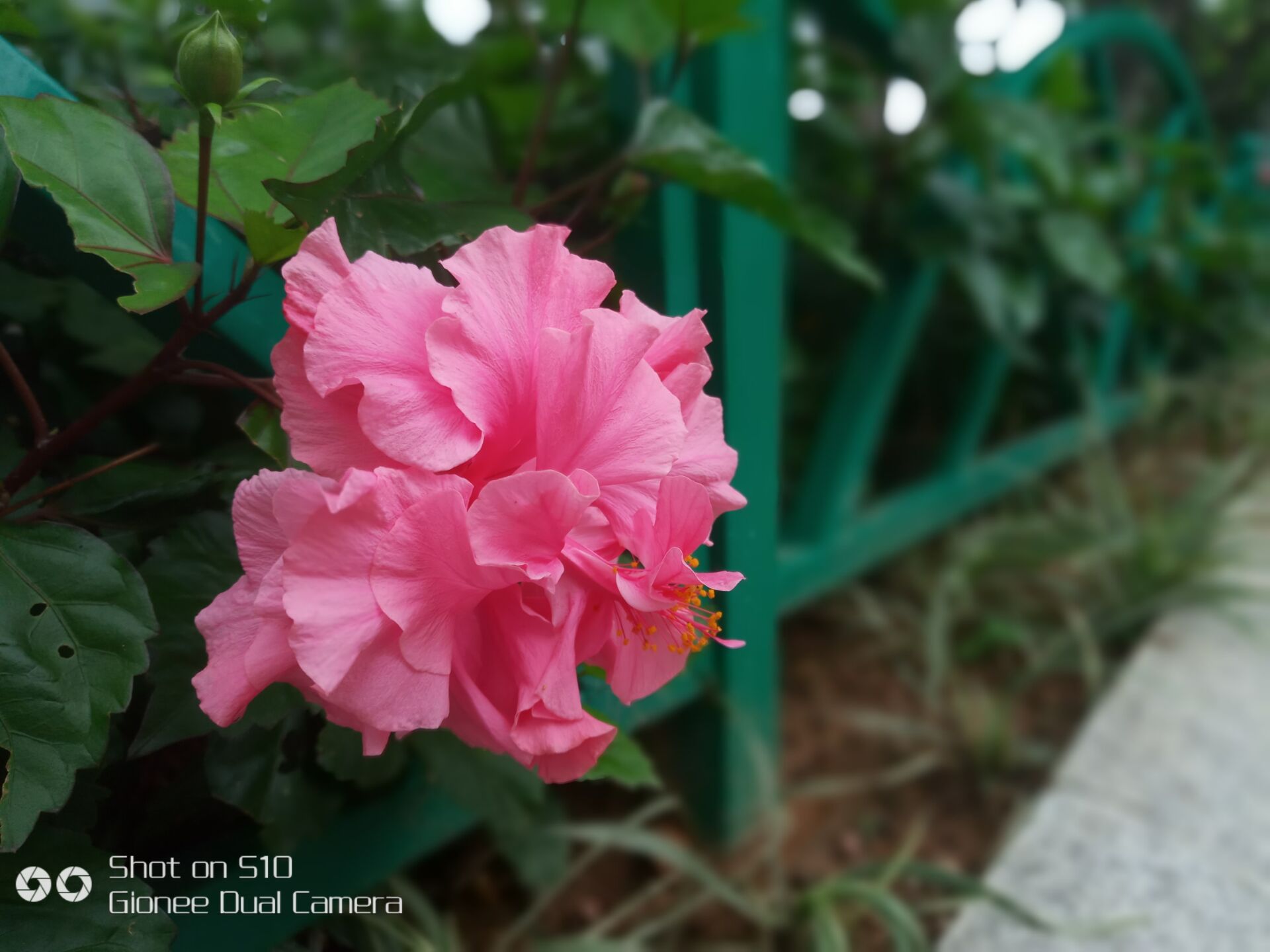 金立s10四摄怎么用,金立S10四摄什么作用