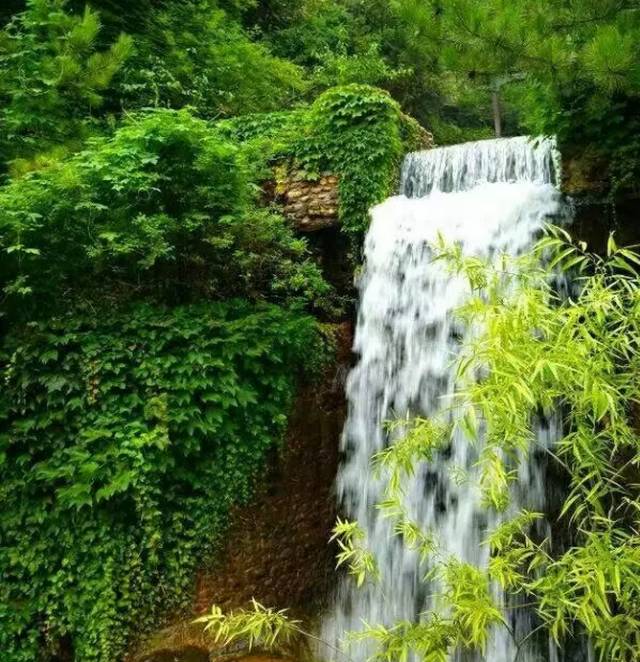 通海大樱桃采摘园优惠团购,响水坝采摘樱桃附近最近地方
