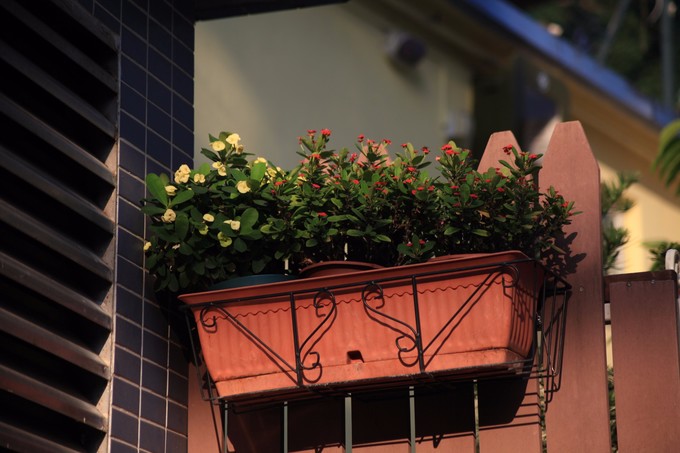 香港长洲离岛,长洲岛香港