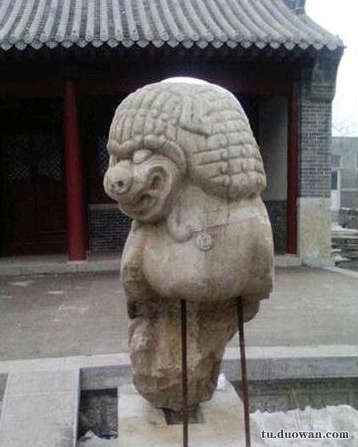 《每日一乐》都有土豪金版共享单车了