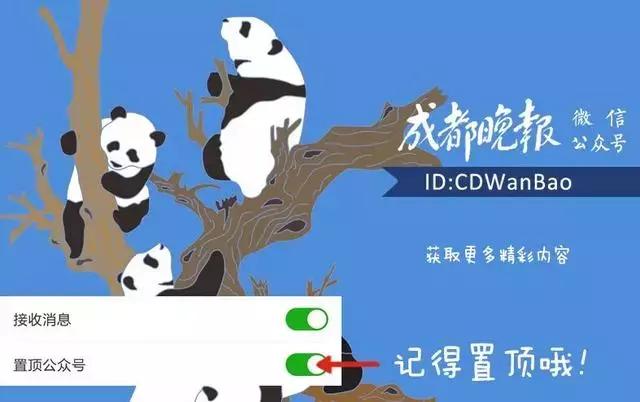 成都驾校考试报名app,预约学车app下载