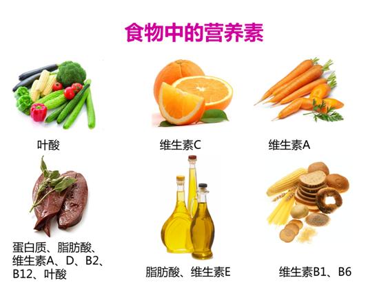 早产儿营养补充时间表,怀孕补充营养时间表