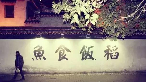 苏州宠物可去的景点,苏州宠物打卡景点在哪里