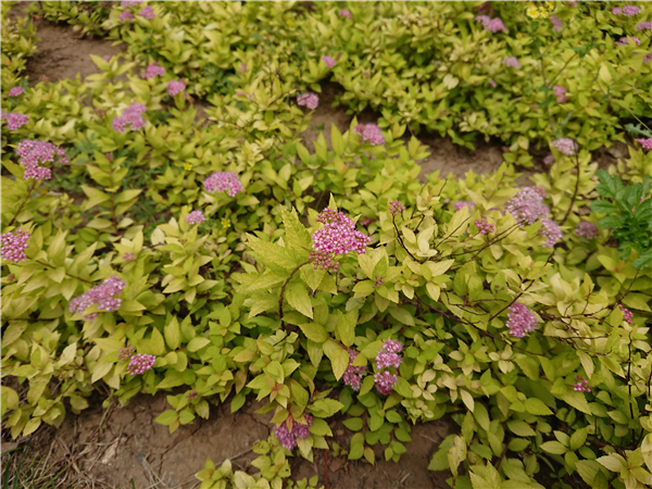 索尼黑科技xperia系列,黑科技满满产品