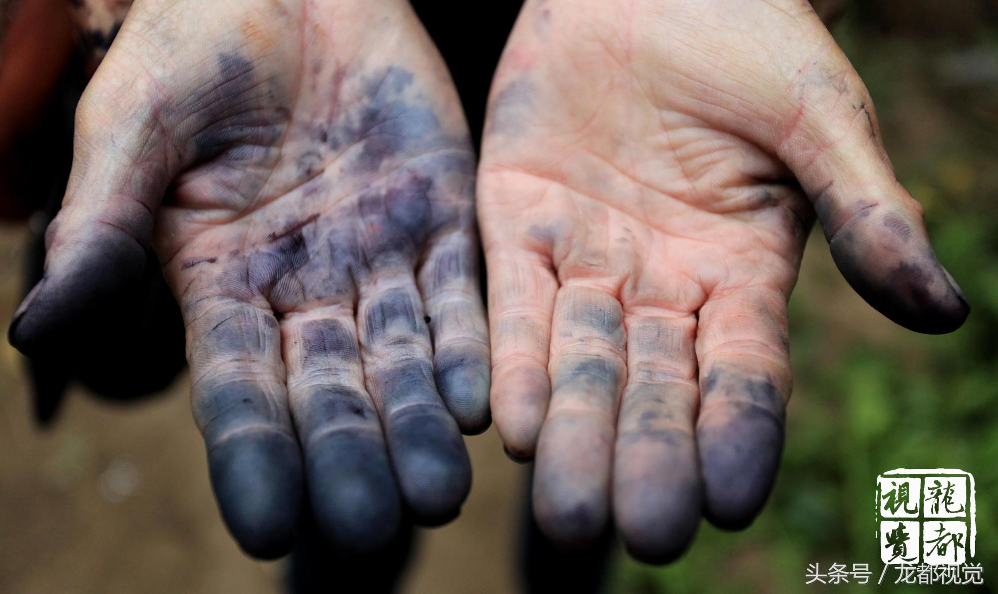 摆地摊卖桑葚,路边摆摊卖桑葚