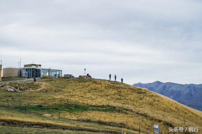 新西兰星空小镇最全攻略,新西兰tekapo旅游攻略