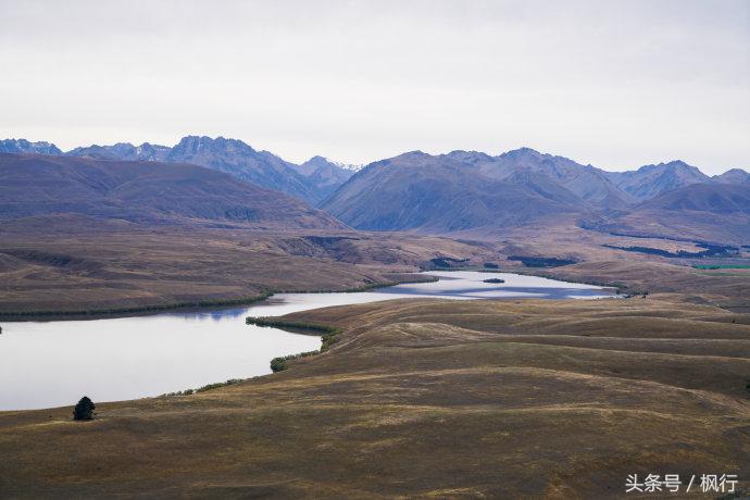 新西兰星空小镇最全攻略,新西兰tekapo旅游攻略