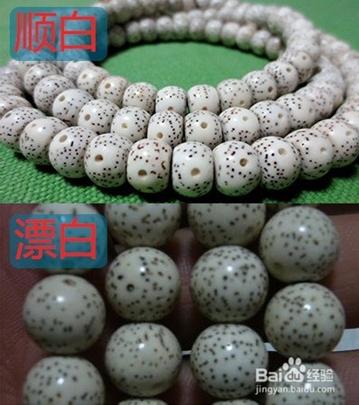 星月菩提文玩相关知识,星月菩提老籽科普介绍