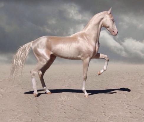 人类饲养的最不同寻常的宠物top5,全球公认的十大宠物排行榜