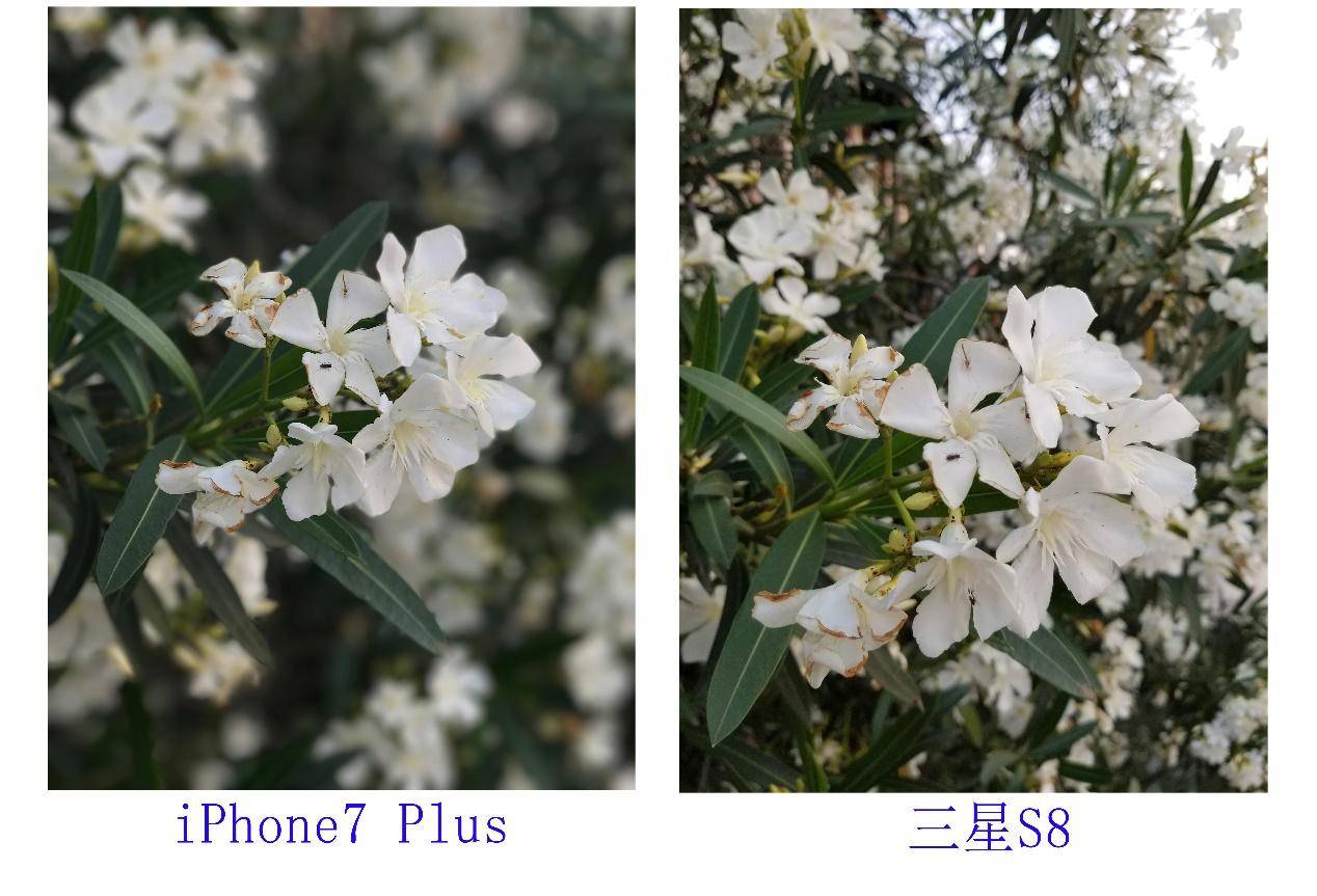 三星s8+手感,三星s8的最大亮点是什么