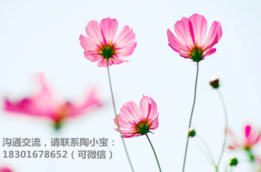 如何有效甩掉纠缠你的男人,如何甩掉一个难缠的人