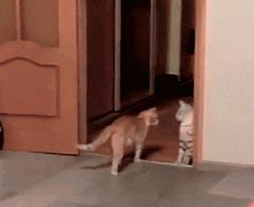 *摸自**，然后就没有然后了，哈哈