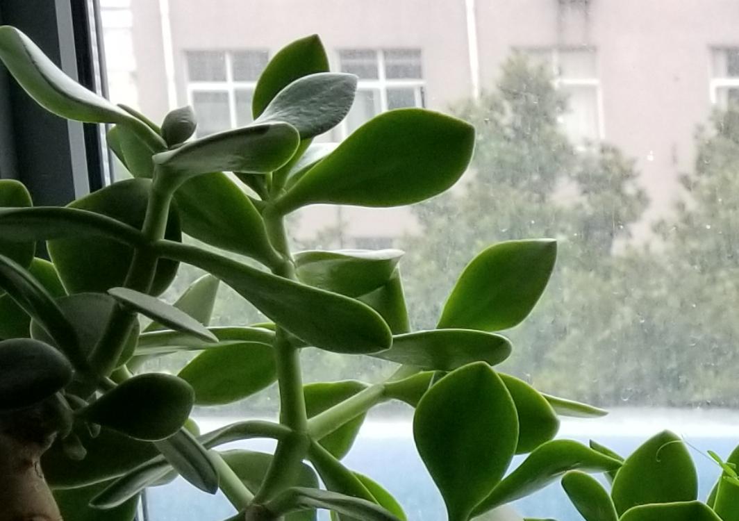 当年的三星s8才是最惊艳的,三星galaxys8有多惊艳