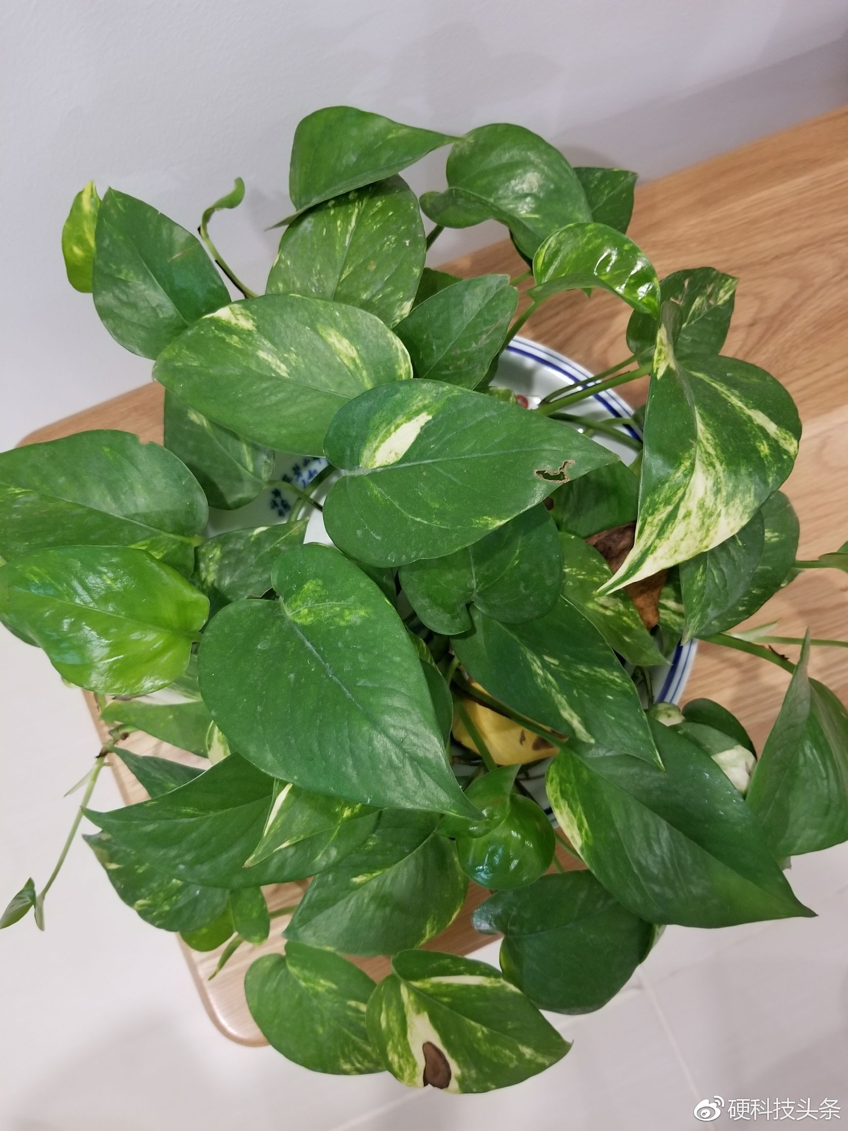 安卓阵营vs苹果阵营,盖乐世s跟三星s7对比