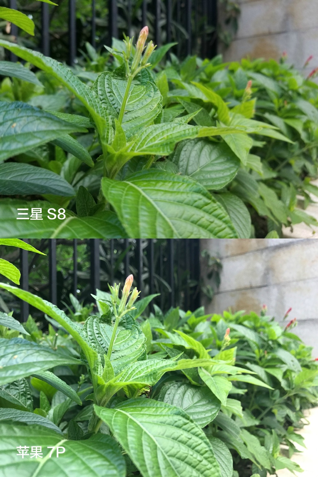 三星盖乐世S8怎么全屏,三星盖乐世s8现在值多少钱