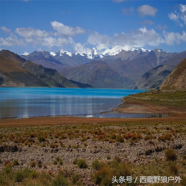 拉萨狼窝全景图,西藏狼窝在哪里