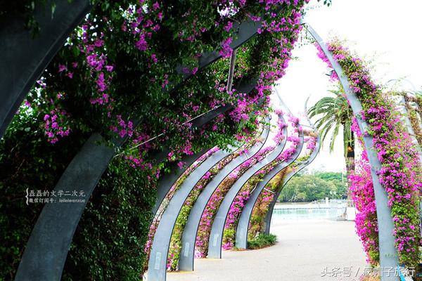 36个必须知道的澳洲旅行贴士,澳洲昆士兰州自由行攻略