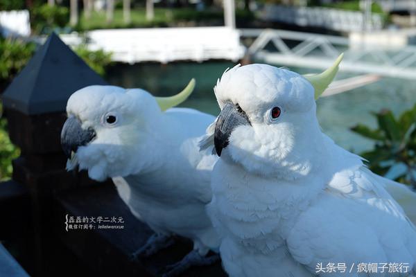 36个必须知道的澳洲旅行贴士,澳洲昆士兰州自由行攻略