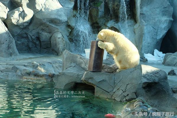 36个必须知道的澳洲旅行贴士,澳洲昆士兰州自由行攻略