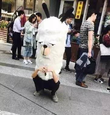 现在年轻人挣钱太难段子,现在年轻人为什么挣钱这么难