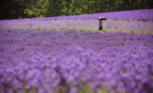 性价比出国游推荐,5000元出境游推荐