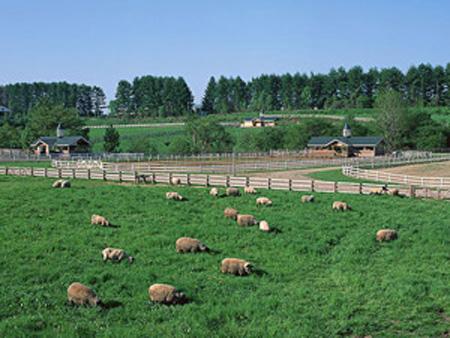 十大最有前途小生意,十大最好的生意项目