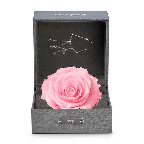 欢乐颂关关同款蝴蝶包,欢乐颂关关的包包