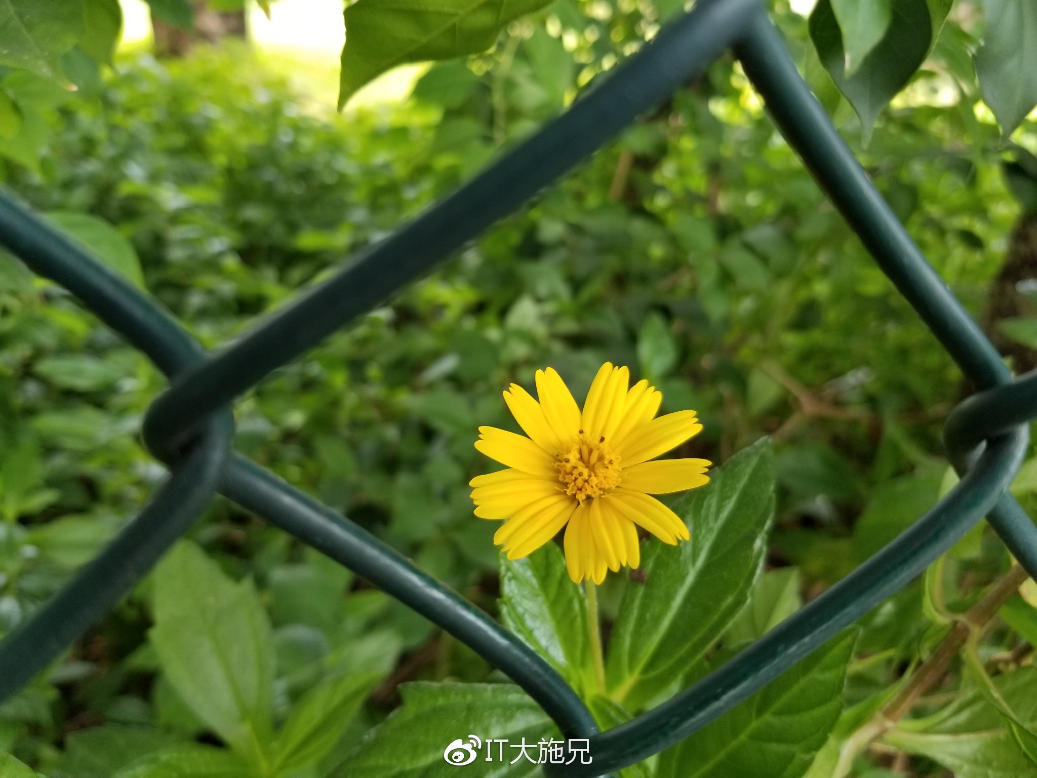 三星s8体验,三星s8轻奢版屏幕测试