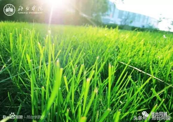 邢台学院近况,关于邢台学院