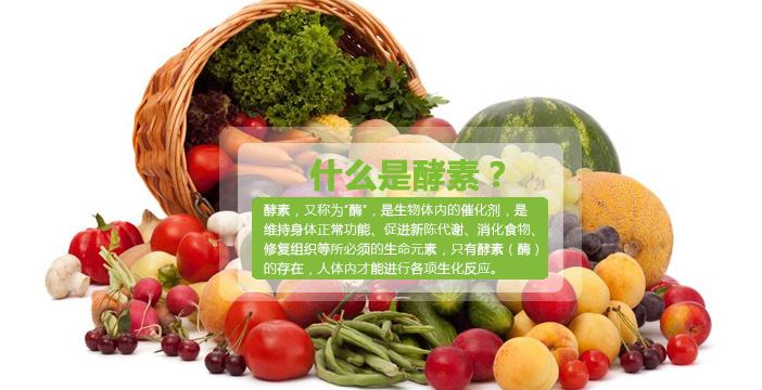 酵素的起源日本书籍,酵素起源于哪儿