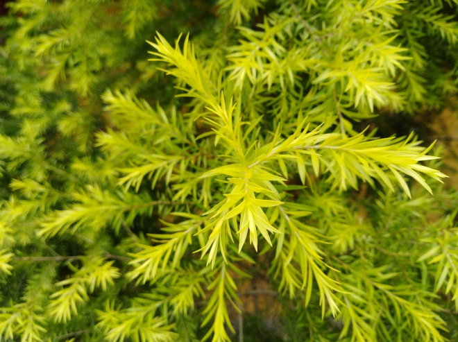 后摄3倍优点,华为畅享7怎么拍照好看