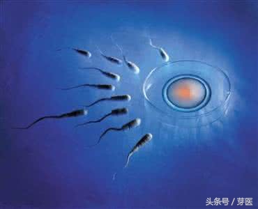 试管婴儿从开始到怀孕要多少天,试管婴儿出生后有后悔的吗