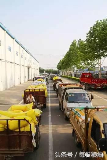 金沙河挂面是面粉起家吗,金沙河鸡蛋挂面纯小麦