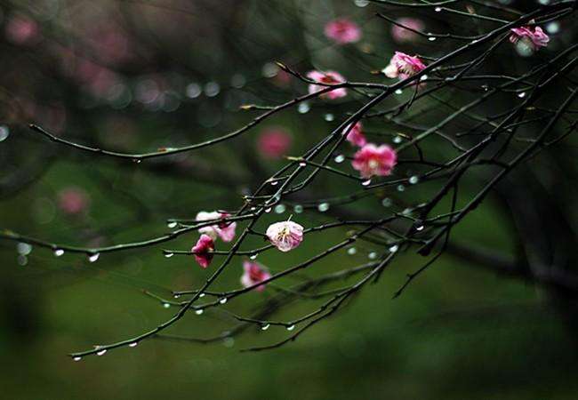 姝ｈ兘閲忛闆ㄤ箣鍚庢湁褰╄櫣,鑳介噺缇庢枃