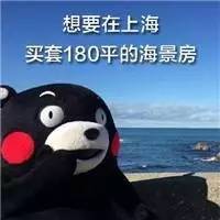 亏大了!95%的人交了几年社保5险1金,都不知道怎么用
