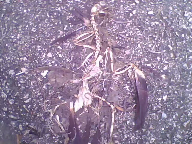 菱行(环中原骑行)5/21篇江西景德镇——浙江杭州