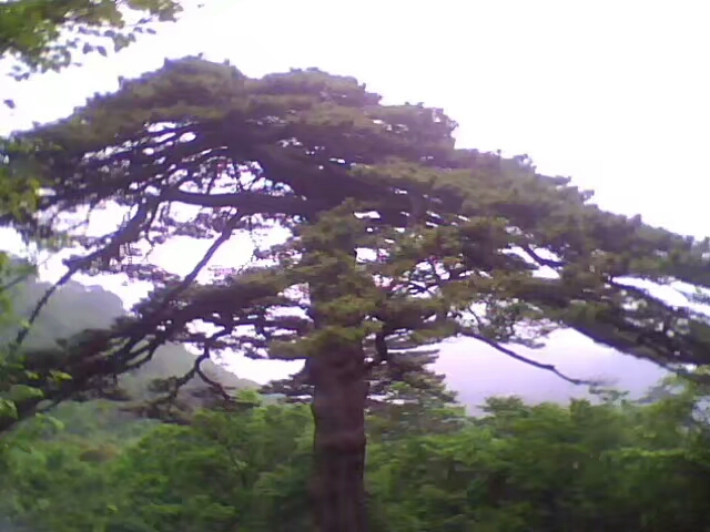 菱行(环中原骑行)5/21篇江西景德镇——浙江杭州