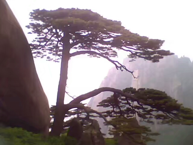 菱行(环中原骑行)5/21篇江西景德镇——浙江杭州