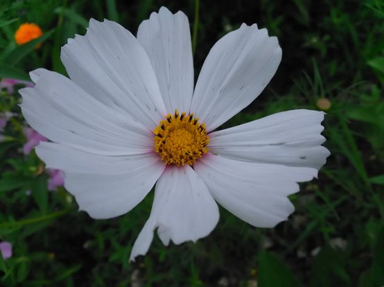 mann三防手机哪个好,mann三防手机哪款值得买