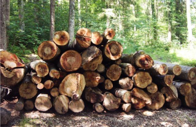 汇丰实木家具，一块木头的44次重生