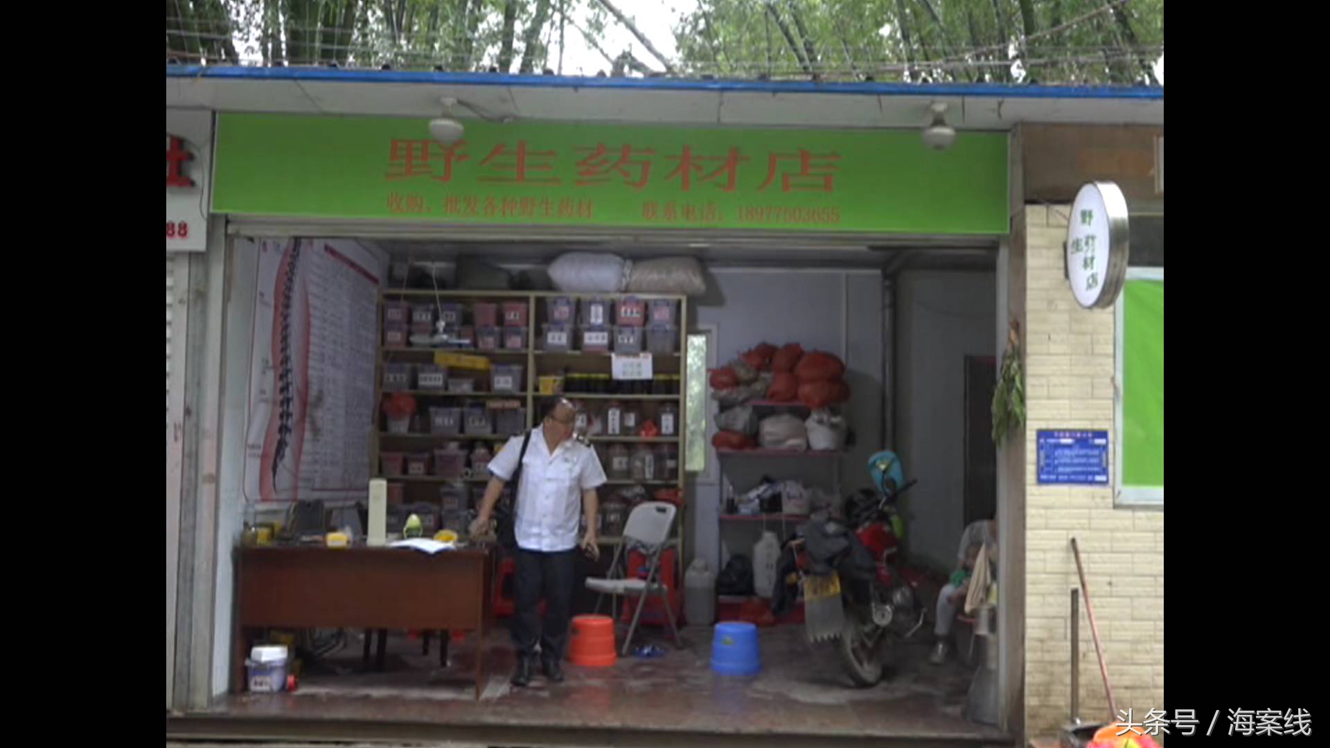 巴马癌症神医,巴马神医黄医生是真的吗