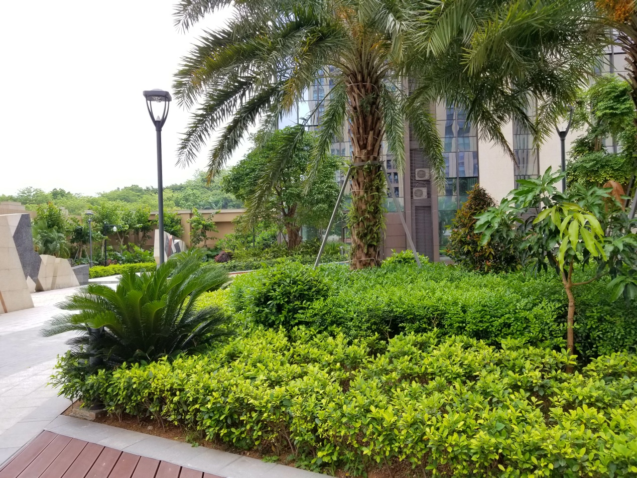 三星galaxys8+值得入手吗,三星galaxys8轻奢版开箱