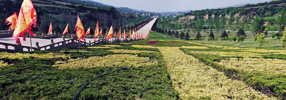 山西炎帝陵直播,山西炎帝陵视频