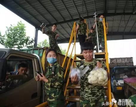 金沙河挂面是面粉起家吗,金沙河鸡蛋挂面纯小麦