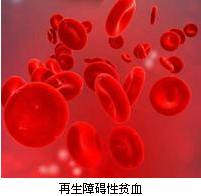 再障患者日常生活中该注意什么,急性重度再障生存几率